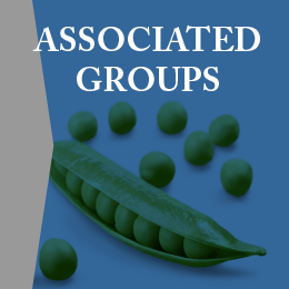Associated Groups