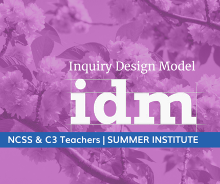 IDM Institute