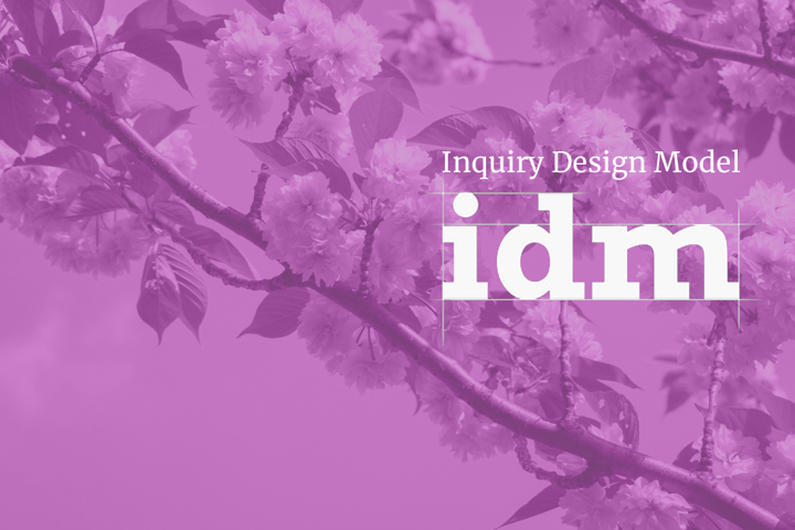 IDM Summer Institute