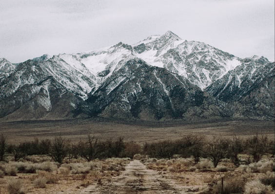 daniel-ramos-AzwFcdYT4bQ-unsplash